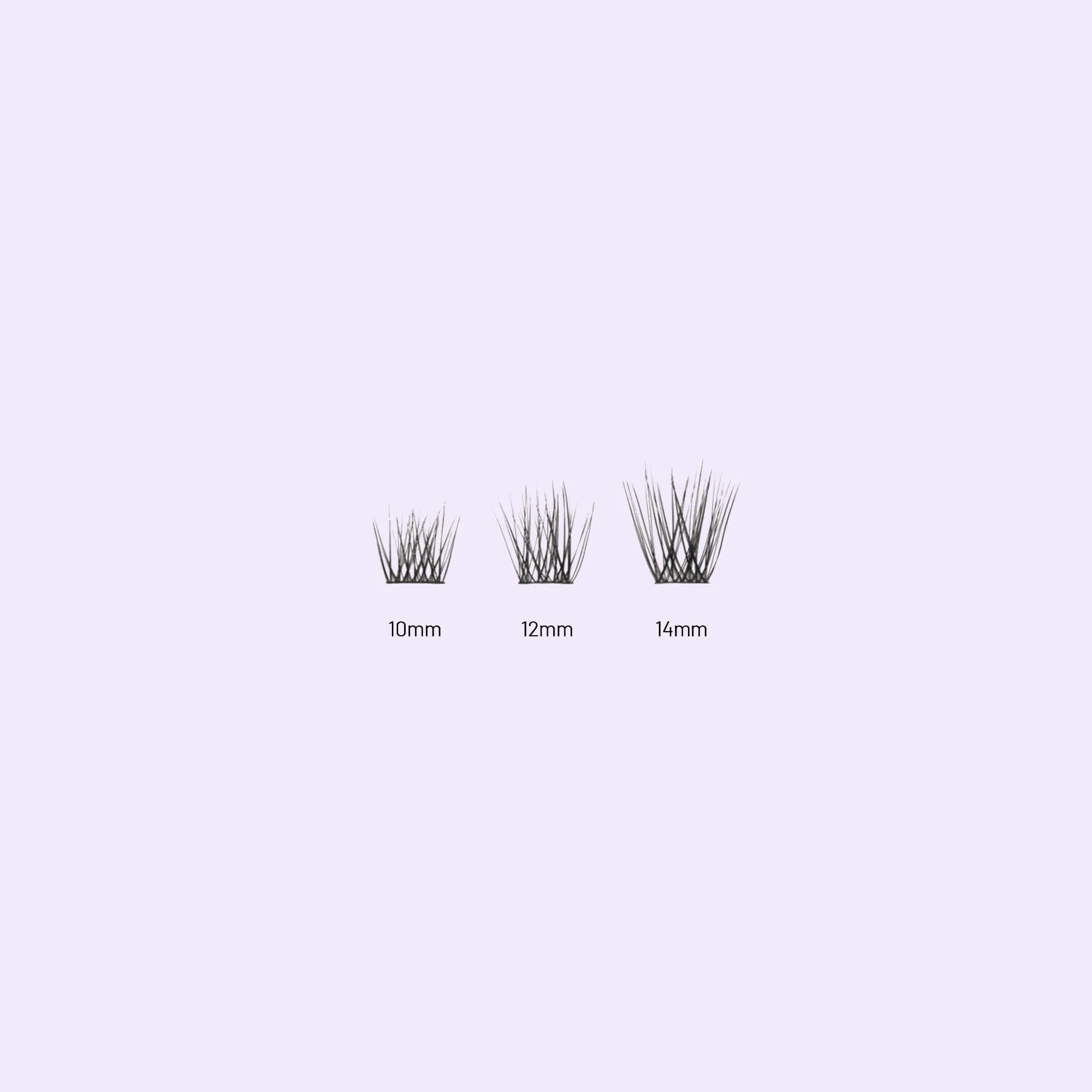 Intro Starter Kit - Image 4