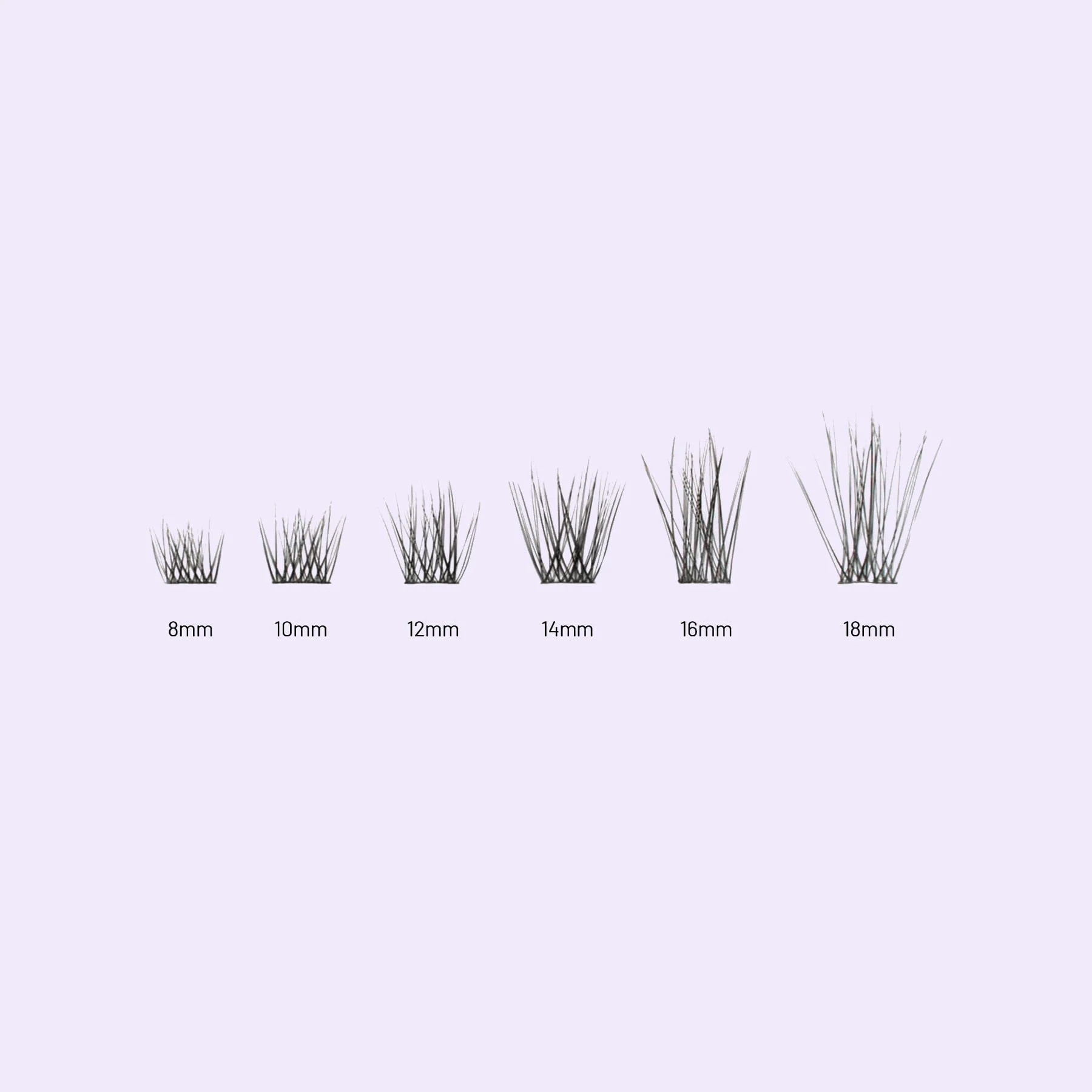 Originals - Image 5
