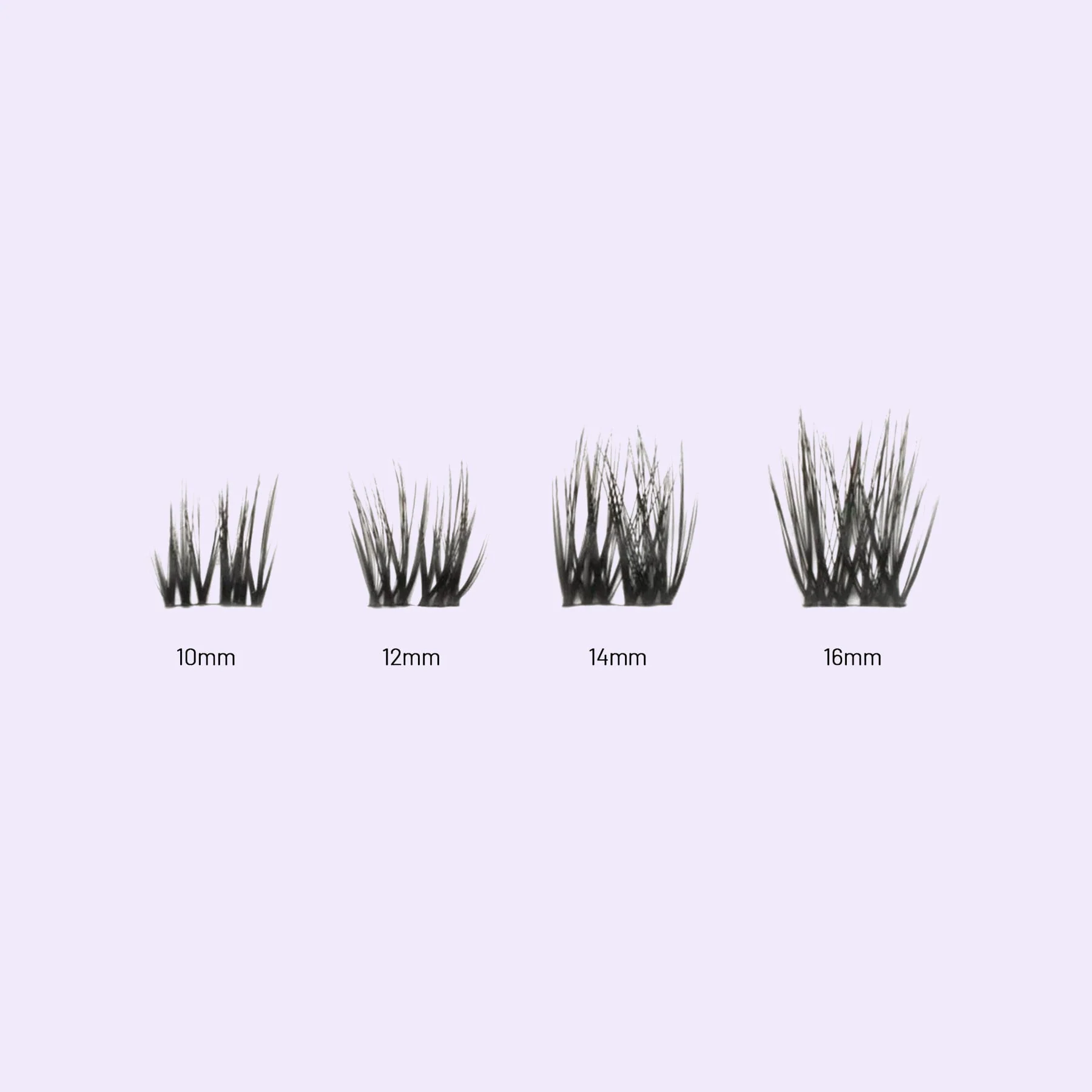 Volume - Image 5